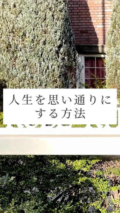画像238