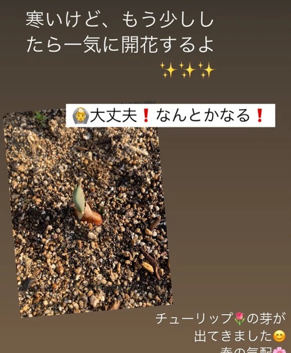 画像335