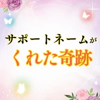画像337