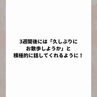 画像626